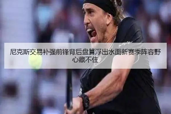 尼克斯交易补强前锋背后盘算浮出水面新赛季阵容野心藏不住